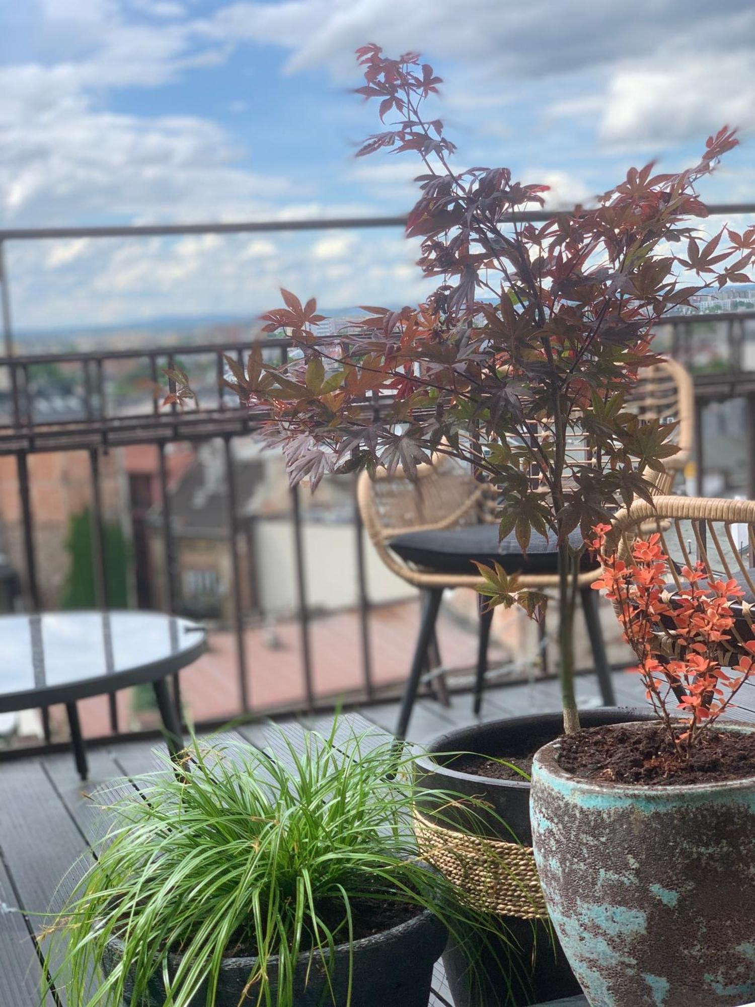 Apartment Loft21